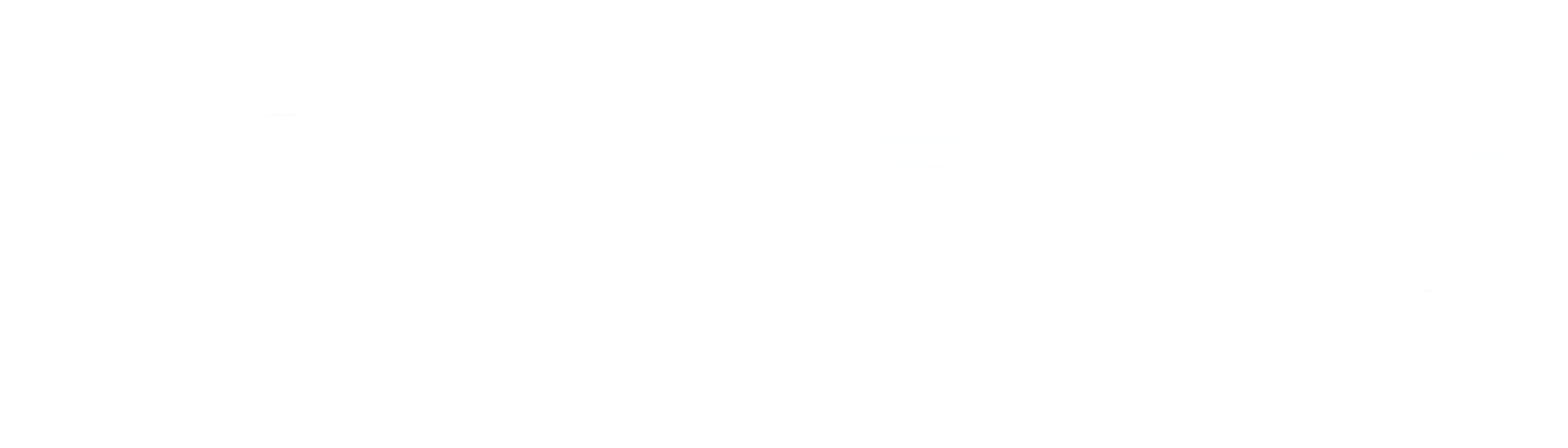 SEO WEB Technology